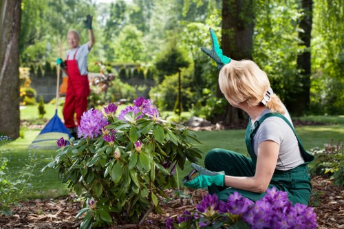 Team member inspecting a Wanstead residential garden
