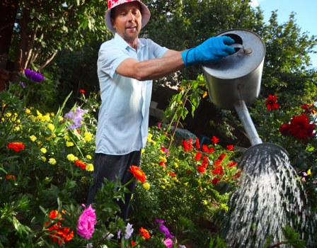 Beautiful Wanstead garden showcasing professional maintenance